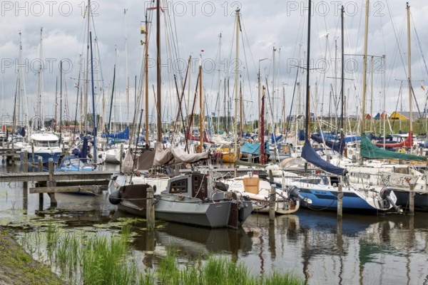 Several sailing boats moored in a quiet harbour, surrounded by water and nature, Noordergat marina, Netherlands