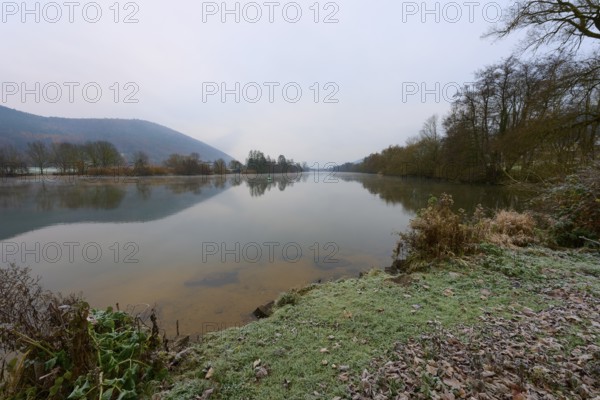 Frosty bank of a quiet river, reflections in the water, wintry landscape, Laudenbach, Main, Spessart, Odenwald, Bavaria Germany