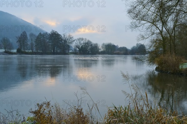 Calm river at sunrise, trees surround the lake, Laudenbach, Main, Spessart, Odenwald, Bavaria Germany