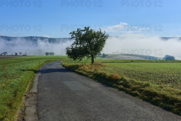A road leads through foggy fields with hills, Mönchberg, Miltenberg, Spessart, Bavaria, Germany