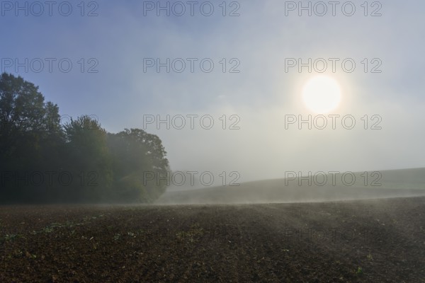 Sunny morning over a fog-covered field, Mönchberg, Miltenberg, Spessart, Bavaria, Germany