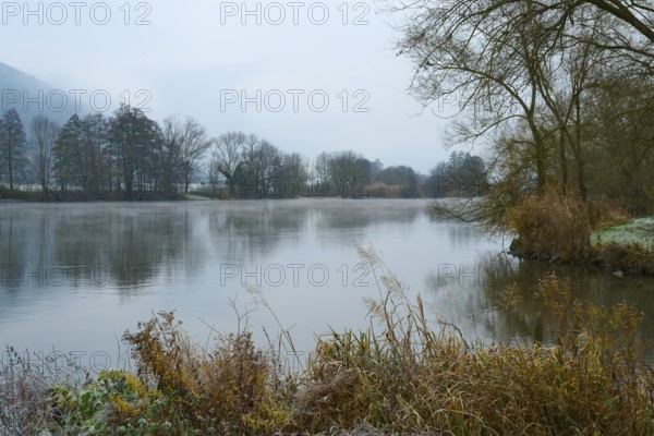 Cold morning on a misty river with grass and trees along the bank, Laudenbach, Main, Spessart, Odenwald, Bavaria Germany
