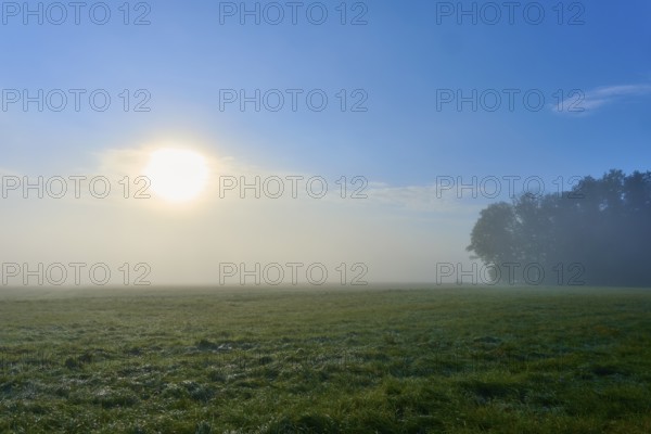 Wide green meadow with rising sun and sky, Mönchberg, Miltenberg, Spessart, Bavaria, Germany