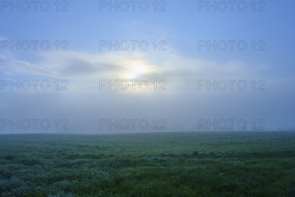 Dreamy meadow in the fog with bluish sky and subtle sun, Mönchberg, Miltenberg, Spessart, Bavaria, Germany