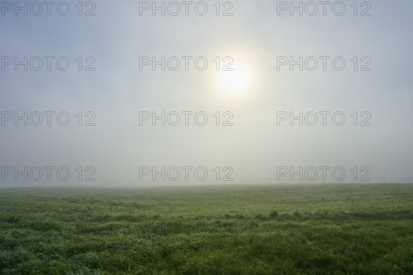 Sun shimmering through dense fog over a meadow, soft light, Mönchberg, Miltenberg, Spessart, Bavaria, Germany