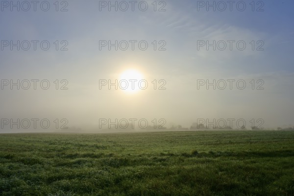 Bright sunshine through fog on a wide meadow, Mönchberg, Miltenberg, Spessart, Bavaria, Germany