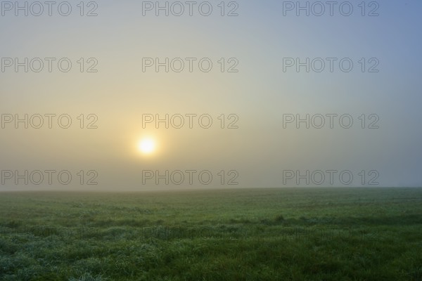 The sun shines through the morning fog over a green meadow, Mönchberg, Miltenberg, Spessart, Bavaria, Germany