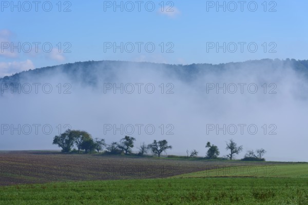 Fog hovers over fields and trees, Mönchberg, Miltenberg, Spessart, Bavaria, Germany
