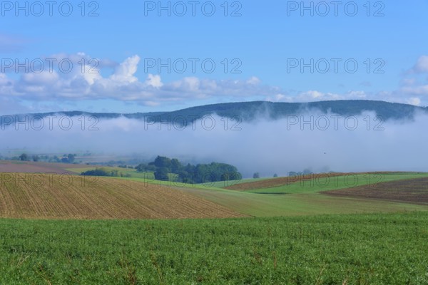 Fog drifts over hilly fields under a clear blue sky, Mönchberg, Miltenberg, Spessart, Bavaria, Germany