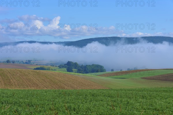 Hilly fields with fog and clear blue sky, Mönchberg, Miltenberg, Spessart, Bavaria, Germany