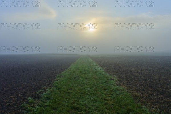 Foggy meadow path and field, quiet atmosphere, Mönchberg, Miltenberg, Spessart, Bavaria, Germany
