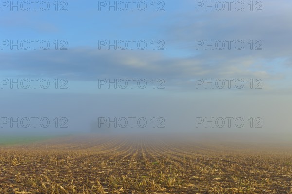 Fog-covered field with sky in autumn, quiet and spacious, Mönchberg, Miltenberg, Spessart, Bavaria, Germany