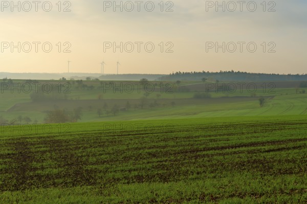 Wide green fields under a cloudy sky with wind turbines in the distance, Hornbach, Walldürn, Odenwald, Neckar-Odenwald Kreis, Baden-Württemberg, Germany