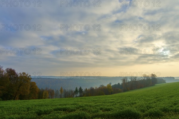 A wide landscape with green meadow and trees under a cloudy sky in the morning light, Hornbach, Walldürn, Odenwald, Neckar-Odenwald Kreis, Baden-Württemberg, Germany