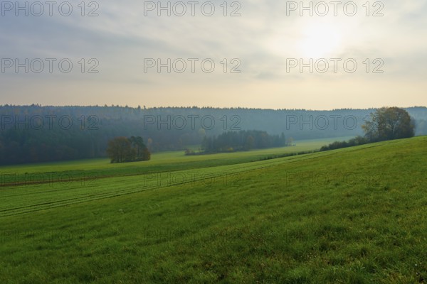 Hilly landscape with green fields and forest in the background under a cloudy sky, Hornbach, Walldürn, Odenwald, Neckar-Odenwald Kreis, Baden-Württemberg, Germany