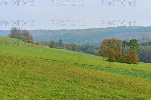 Wide landscape with green fields and trees under a cloudy sky, Hornbach, Walldürn, Odenwald, Neckar-Odenwald Kreis, Baden-Württemberg, Germany