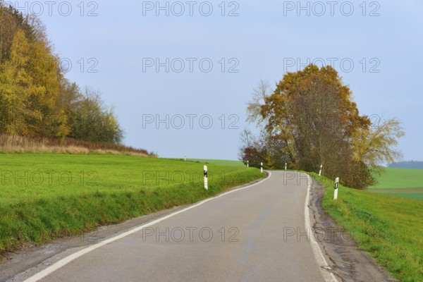 Winding country road between green fields and autumn trees, Hornbach, Walldürn, Odenwald, Neckar-Odenwald district, Baden-Württemberg, Germany