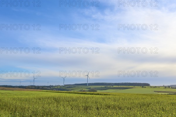 A wide landscape with wind turbines under a blue sky, Buchen, Odenwald, Neckar-Odenwald district, Baden-Württemberg, Germany