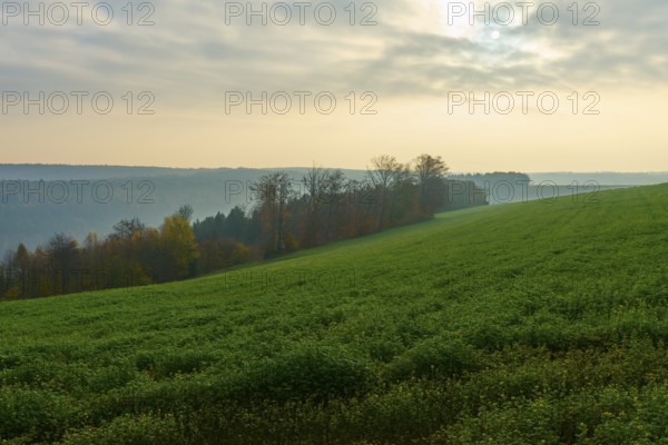 Green hills and trees in a misty morning under a cloudy sky, Hornbach, Walldürn, Odenwald, Neckar-Odenwald district, Baden-Württemberg, Germany