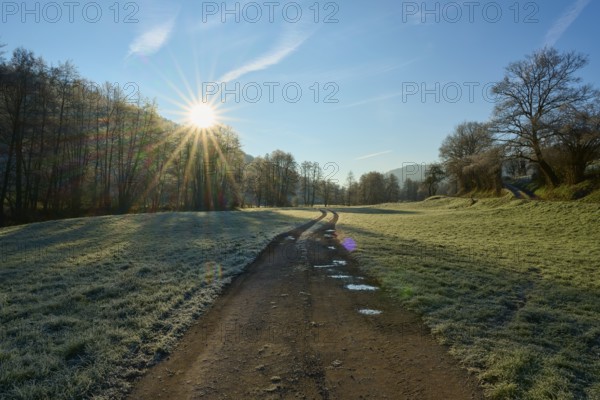 Path in an expansive winter landscape in the light of the rising sun, Kirchzell, Amorbach, Odenwald, Bavaria, Germany