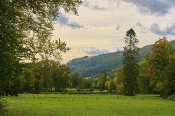 Autumn landscape with green meadow, tall trees and cloudy sky, Amorbach, Odenwald, Bavaria, Germany