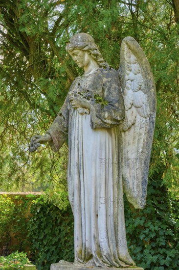 Stone angel in a green garden, surrounded by trees, atmosphere is quiet and peaceful, cemetery, Mannheim, Baden-Württemberg, Germany