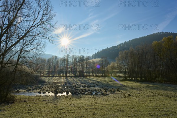 The sun shines through the trees on a wooded hill in a wide meadow, Kirchzell, Amorbach, Odenwald, Bavaria, Germany