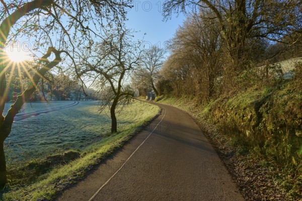 Path along frost-covered trees in the shade of the rising sun, Kirchzell, Amorbach, Odenwald, Bavaria, Germany