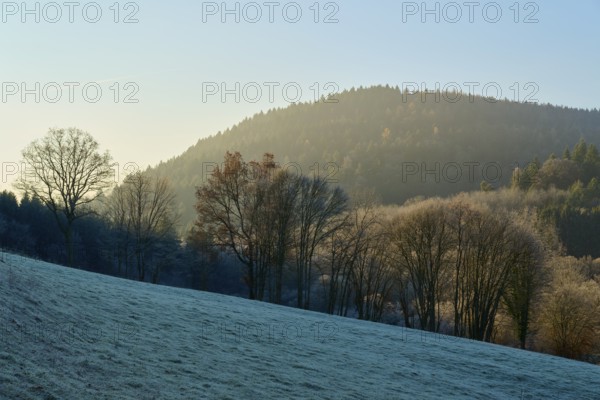 Snowy landscape with trees and hills in the morning light under a blue sky, Kirchzell, Amorbach, Odenwald, Bavaria, Germany