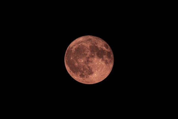 Strawberry moon, full moon in front of a dark night sky, Neunkirchen, Lower Austria, Austria