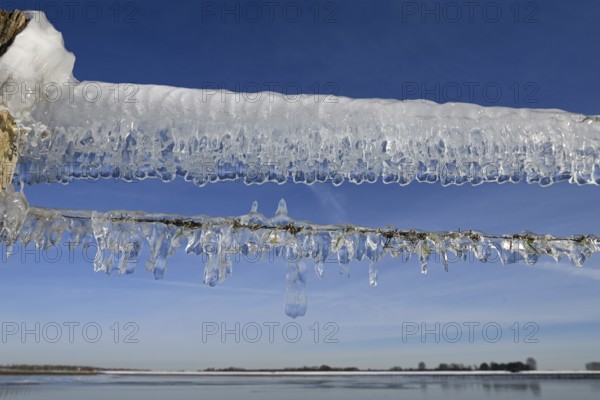 Ice age... Icicles (Rhine floods) on a pasture fence on Bislicher Insel in winter 2020 2021