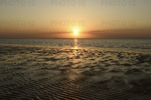 Sunset over the Wadden Sea on the German North Sea coast, typical ripple mudflats at low tide, Lower Saxon Wadden Sea National Park, Lower Saxony, Germany, local nature, landscape, North Sea, Germany, Europe Sunset over the Wadden Sea... Cuxhaven (North Sea), Duhnen, Duhner Watt, Lower Saxon Wadden Sea, low sun over Neuwerk, atmospheric shot, Germany