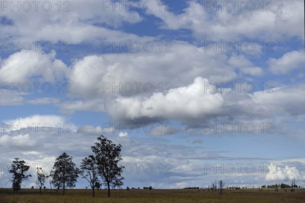 In the High Fens... impressive, wide, strictly protected moorland on a plateau in the Eifel in the border triangle near Aachen High Fens, moorland on a plateau in the Eifel, spectacular landscape and famous nature reserve with low clouds above