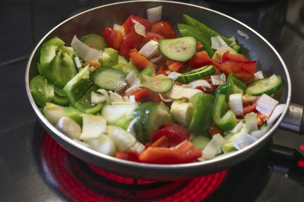 Fresh vegetables in the pan on the cooker, Bavaria, Germany