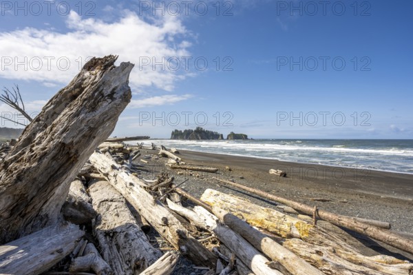 A sunny beach with driftwood, surrounded by sea and rocks under blue sky and clouds, Rialto Beach, Olympic National Park, Washington, USA, North America