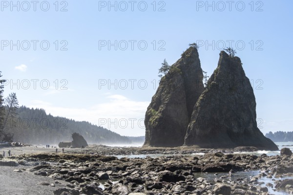Large rocks protrude from a sandy beach against a clear blue sky, people walk along the shore, Rialto Beach, Olympic National Park, Washington, USA, North America
