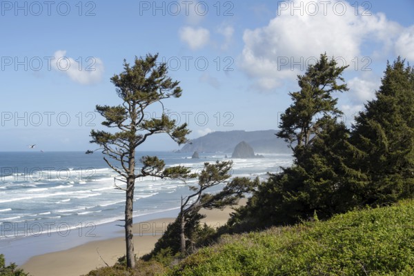 Sunny beach with large rocks in the sea and clear blue sky, peaceful and relaxing atmosphere, Haystack Rock, Cannon Beach, Oregon, USA, North America