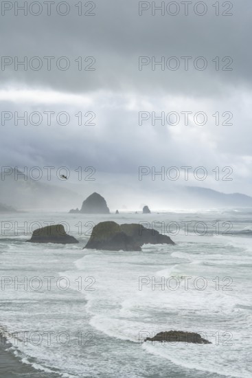 A rugged coastal landscape with rocks in the sea and a cloudy sky, Indian Beach, Oregon, USA, North America