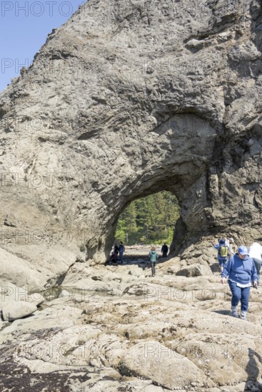 Large rock with a hole and people in the foreground, Hole in The Wall, Rialto Beach, Olympic National Park, Washington, USA, North America