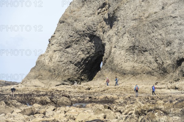 Large rock with a hole and people in the foreground, Hole in The Wall, Rialto Beach, Olympic National Park, Washington, USA, North America