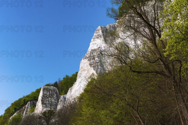 View of chalk cliffs in Jasmund National Park on Rügen, Sassnitz, Rügen, Mecklenburg-Western Pomerania, Germany