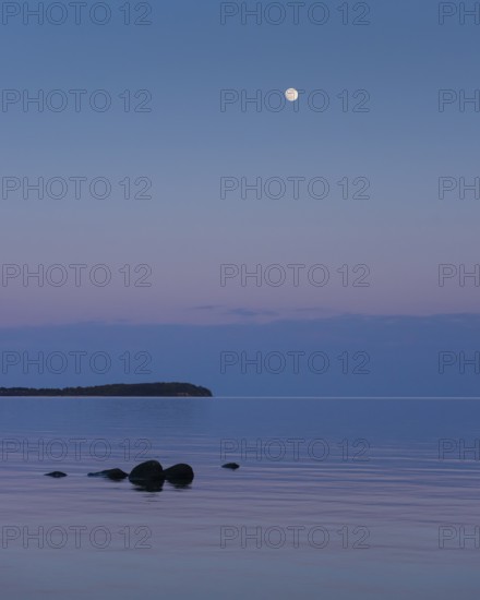 Moonrise on the lagoon on Rügen, Rügen, Glowitz, Mecklenburg-Western Pomerania, Germany