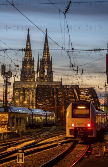 Rail track in front of Cologne Central Station, Hohenzollern Bridge across the Rhine, regional trains, in front of the railway bridge, Cologne Cathedral, North Rhine-Westphalia, Germany