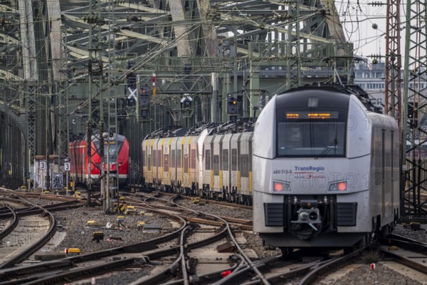 Rail track in front of Cologne Central Station, Hohenzollern Bridge across the Rhine, Transregio Regionalbahn, regional trains, in front of the railway bridge, Cologne, North Rhine-Westphalia, Germany