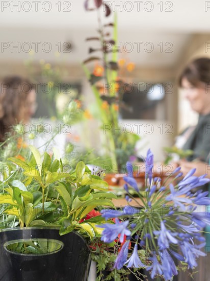 Florists are creating beautiful ikebana arrangements during a workshop, using various colorful flowers and plants