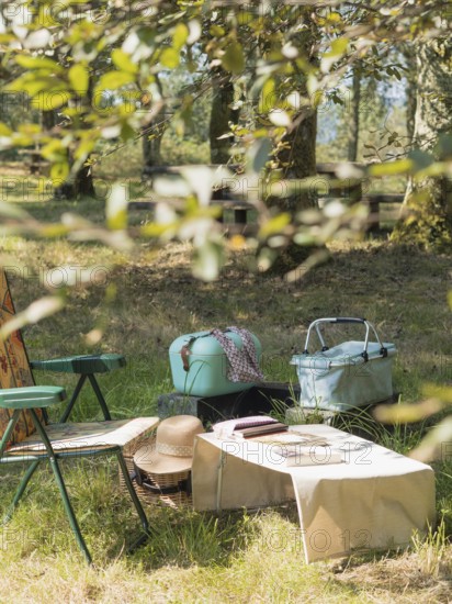Relaxing picnic scene with baskets, chair, and table in a sunny park