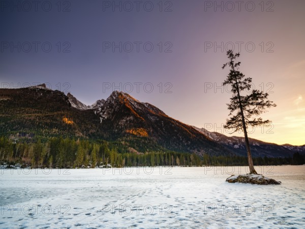 Rock island with tree in frozen Hintersee, footprints on the ice, evening light, Hochkalter massif in the background, Berchtesgaden National Park, Ramsau, Berchtesgadener Land, Upper Bavaria, Bavaria, Germany