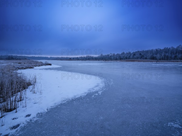 Frozen moor lake in wintery Ainringer Moor, also moss, Ainring, Berchtesgadener Land, Upper Bavaria, Bavaria, Germany