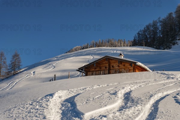 Upper Priesbergalm surrounded by deep snow with ski tracks, Berchtesgaden Alps, Berchtesgaden National Park, Schönau am Königssee, Berchtesgadener Land, Upper Bavaria, Bavaria, Germany