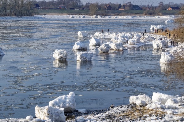 Many visitors look at the icebergs on the water of the Elbe and on the banks of the Elbe Island near Geesthacht on a cold winter day. Geesthacht, Schleswig-Holstein, Germany